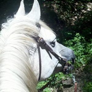 Meet your Posher, Linda